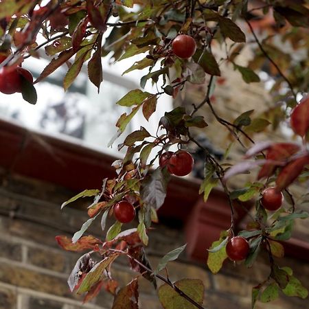 Beautiful London Home Sleeps 6, 2 Minutes To Metro Экстерьер фото