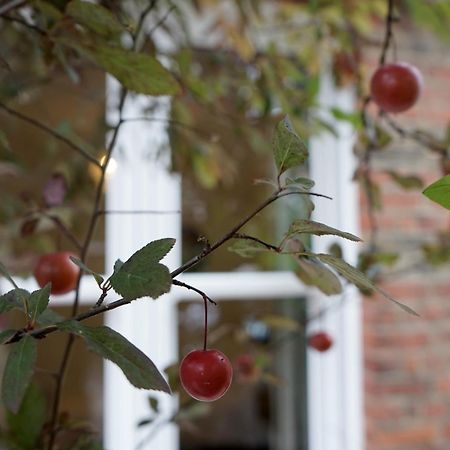 Beautiful London Home Sleeps 6, 2 Minutes To Metro Экстерьер фото