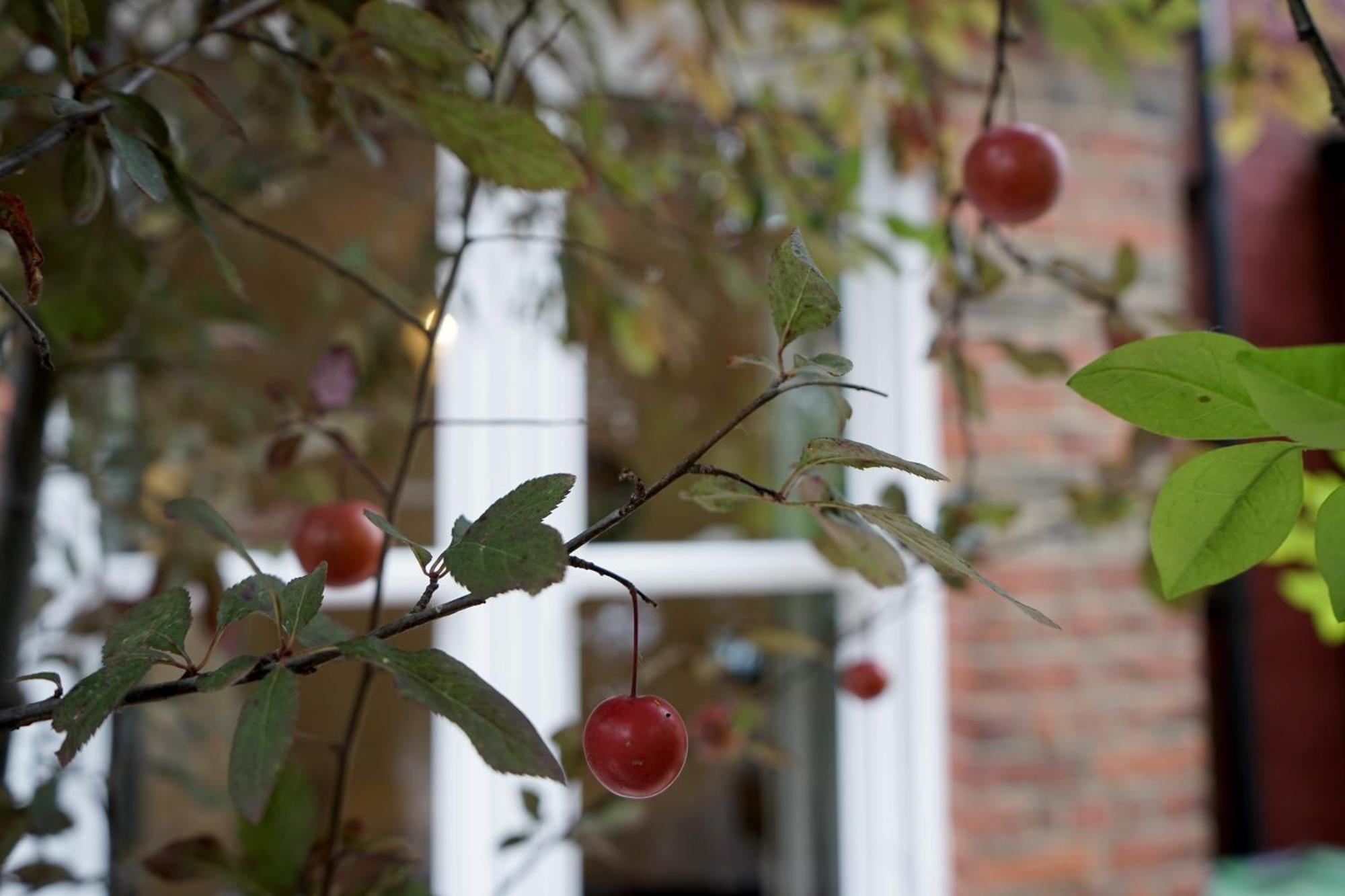 Beautiful London Home Sleeps 6, 2 Minutes To Metro Экстерьер фото